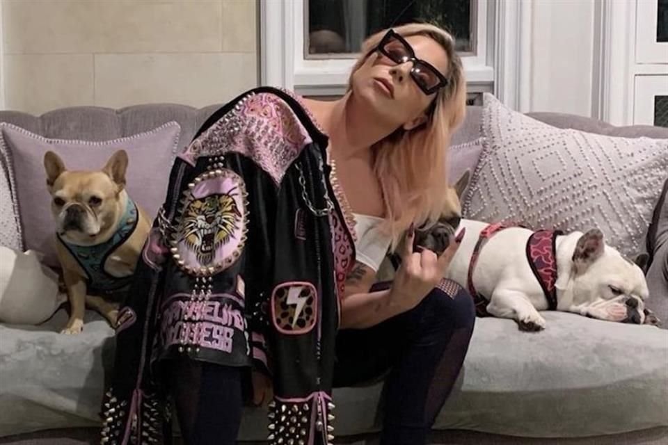 Una mujer demandó a Lady Gaga por no pagar recompensa por sus perros Koji y Gustav; alega que terminó siendo sospechosa de robo.