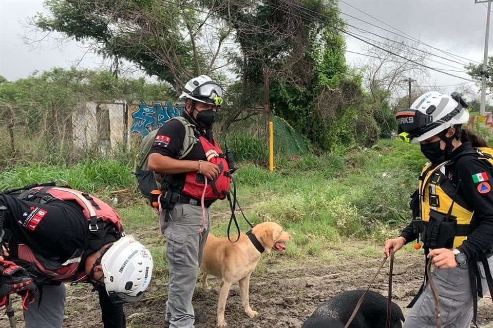 Esta mañana se reinició la búsqueda de Tania por parte de Protección Civil de Juárez, binomios caninos de Protección Civil del Estado, Bomberos, Protección Civil de Guadalupe y policías municipales.