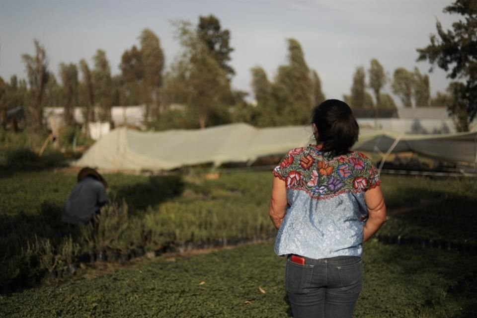 'Creí que las agresiones que él hacía hacia mi cuerpo o hacia mi persona eran normales', relata.