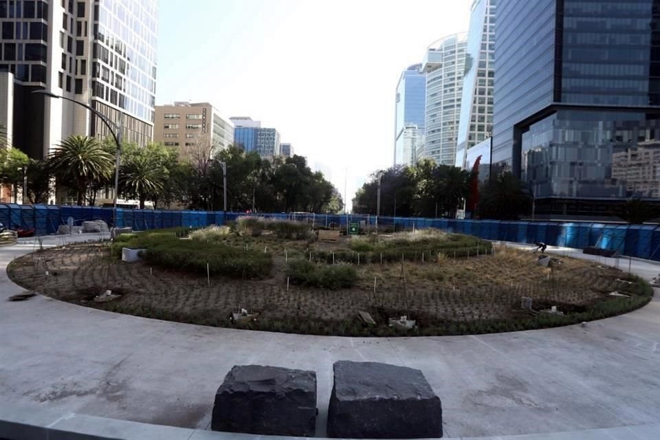 El árbol con más de 12 metros de altura fue removido de la glorieta para ser trasladado en un camión de plataforma hasta el Vivero Nezahualcóyotl, ubicado en la Alcaldía Xochimilco.