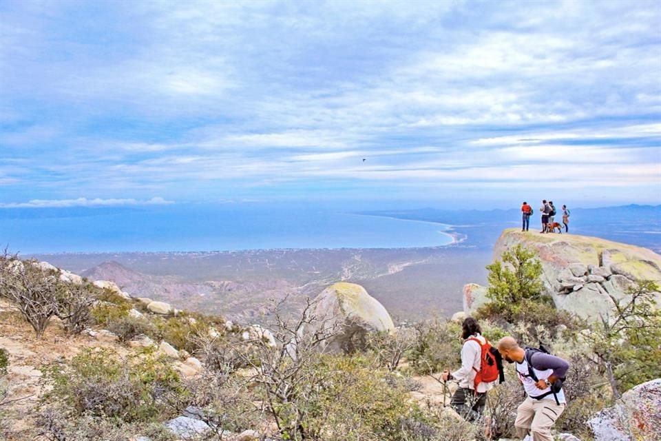 En La Paz, capital de esta entidad, puedes practicar turismo sustentable y de naturaleza, tanto en el mar como en la tierra.