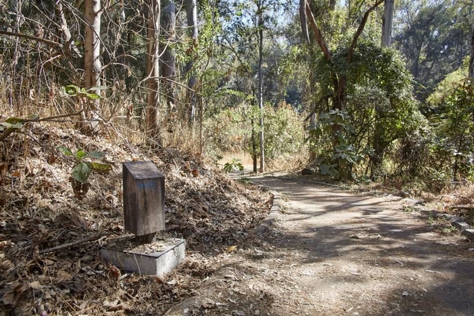 En muy pocas partes, los señalamientos de la ruta en el Bosque Los Colomos no están disponibles.