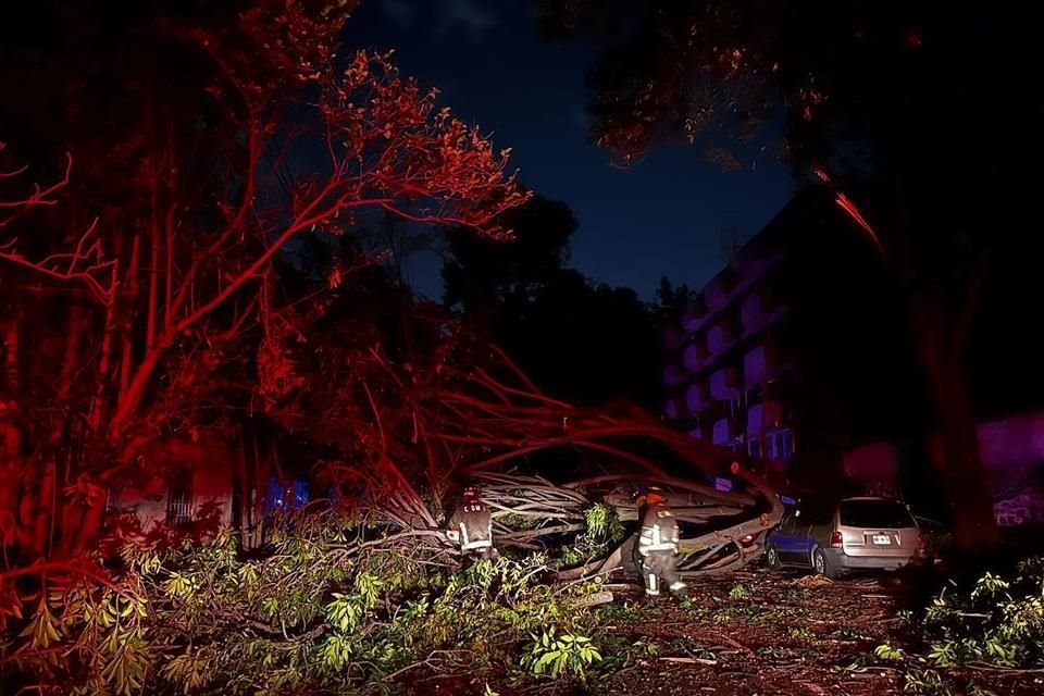 Un árbol cayó sobre 6 autos, entre las calles de Morelos y Viena, Colonia Del Carmen, en la Alcaldía Coyoacán, debido al fuerte viento que se registró esta noche; ocho manzanas están sin luz.