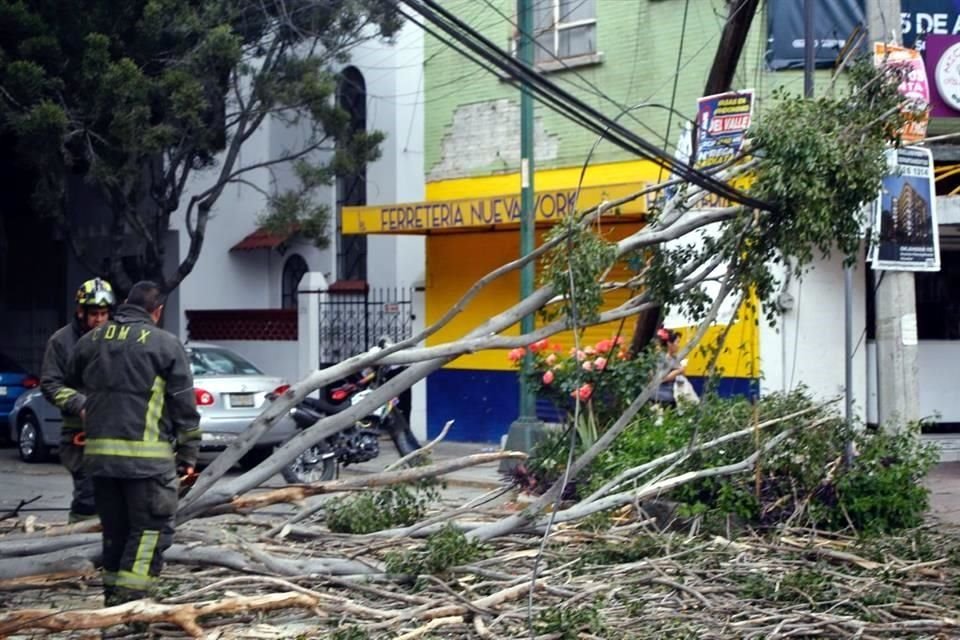 Árboles caídos por ráfagas de viento entre las calles Dakota y Nueva York, en la alcaldía Benito Juárez.