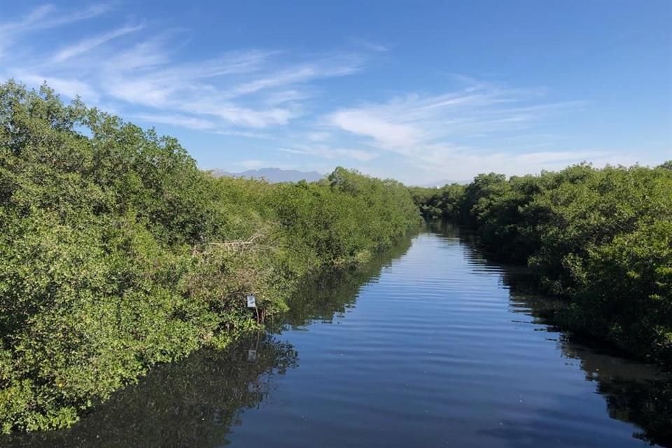 La Secretaría de Infraestructura y Obra Pública tiene en remodelación el estero El Salado.