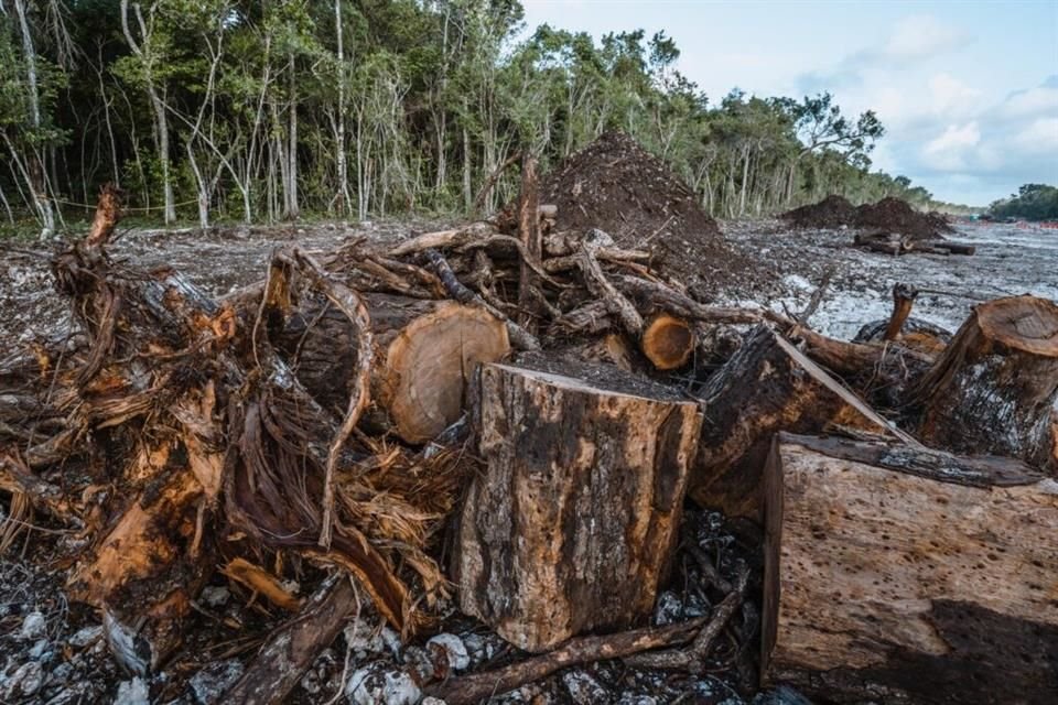 Un tribunal de ciudadanos pidió al Gobierno mexicano suspender las obras del Tren Maya por considerar que ha cometido ecocidio y etnocidio.