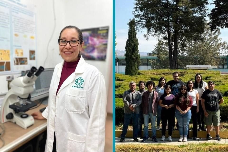 La neurocientífica Claudia Pérez Cruz y el equipo de investigadores en el Cinvestav que trabajan en el estudio.