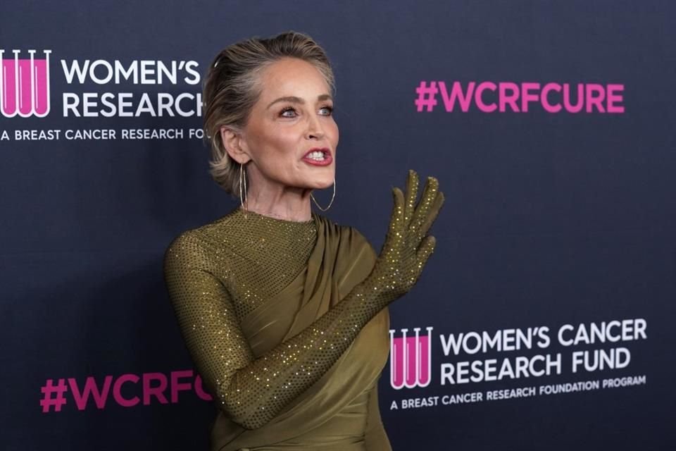 La actriz Sharon Stone dio a conocer que perdió la mitad de su fortuna como resultado de la crisis bancaria en Estados Unidos.