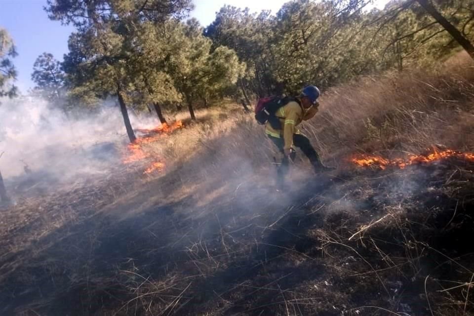 Se registra incendio en el paraje Las Canoas, al Sur del Bosque La Primavera, zona que hace casi dos años se quemó en casi 5 mil hectáreas.