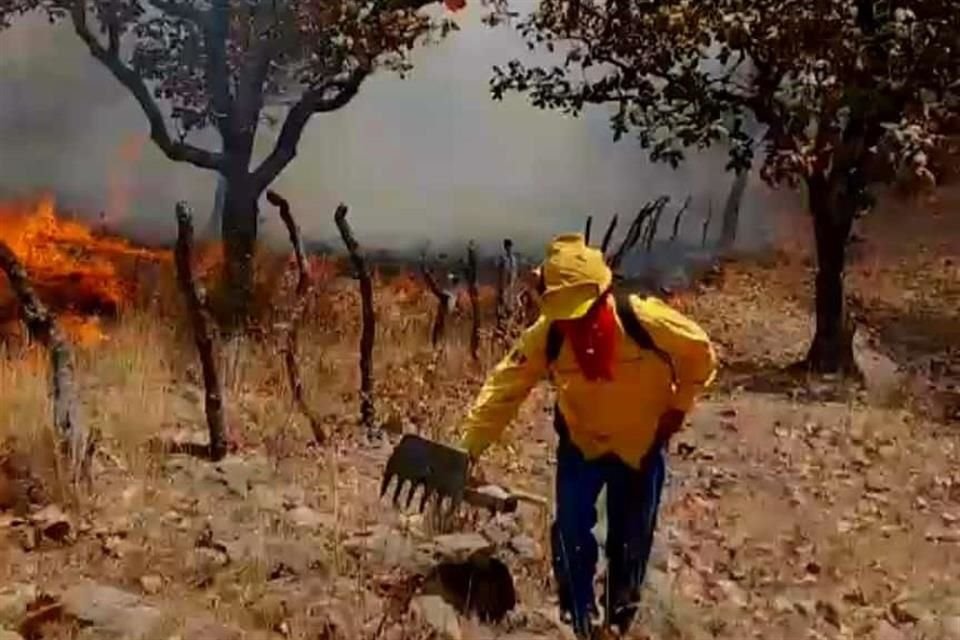 El Gobierno de Jalisco invita a las personas de la AMG y de las zonas aledañas a la zona afectada por el incendio en Tala, a mantenerse alerta a las recomendaciones ante estas situaciones.