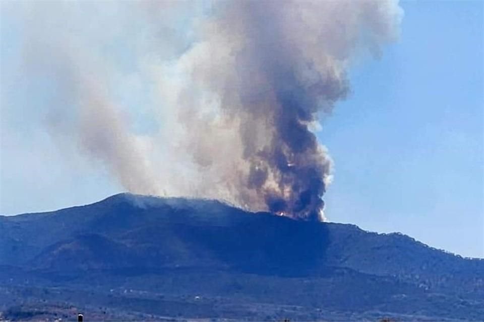 Debido a la magnitud del siniestro, desde ayer la Semadet activó una alerta atmosférica en Tala.