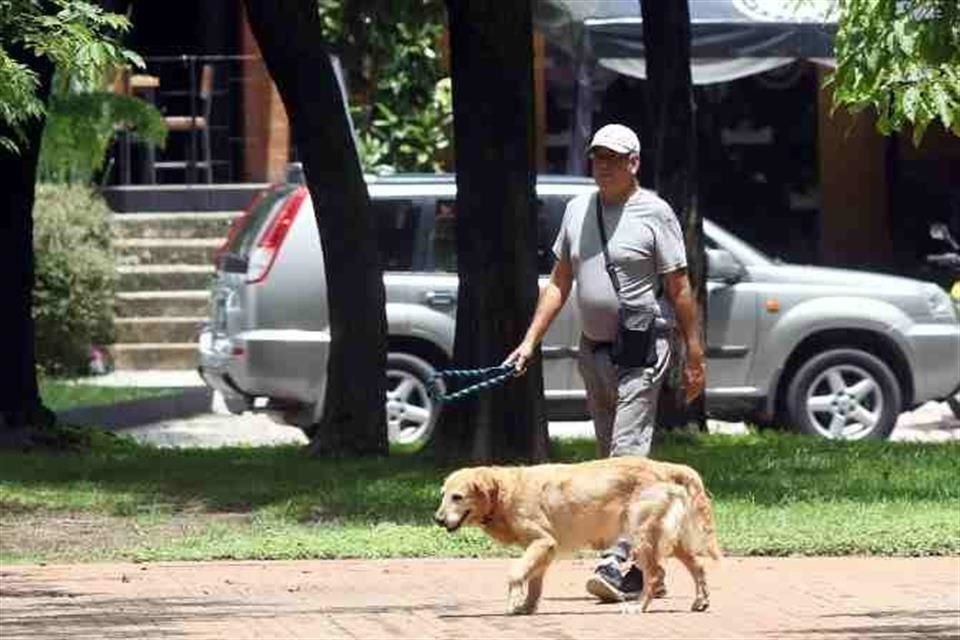 Durante la temporada de calor, los animales pueden enfrentar quemaduras de tercer grado en las almohadillas de sus patas si salen a pasear en los horarios de mayor exposición al sol.