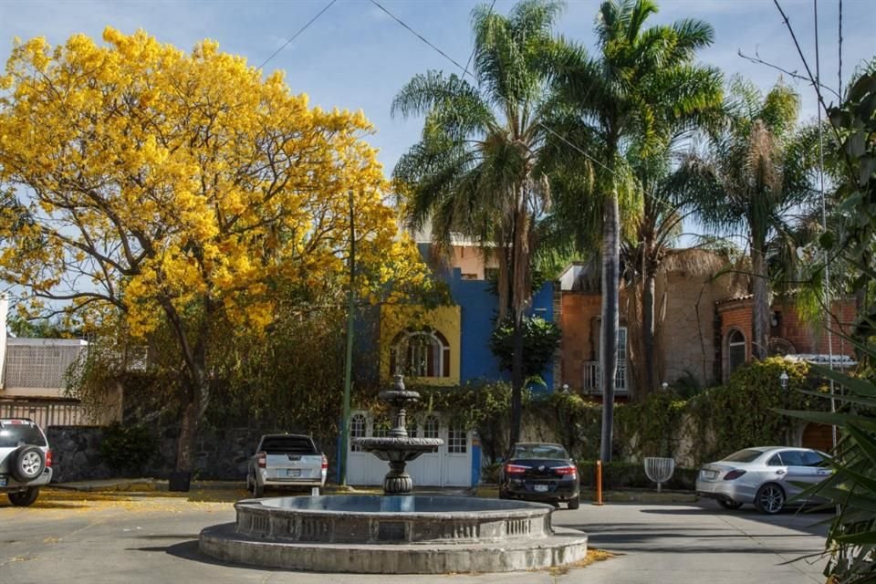 Calle de la Fuente en Chapalita.