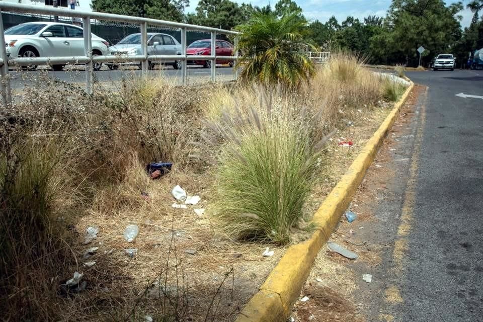 La mala imagen urbana en Paseo Royal Country, en la zona de Puerta de Hierro, ya genera obstáculos para peatones y autos, señalan vecinos.