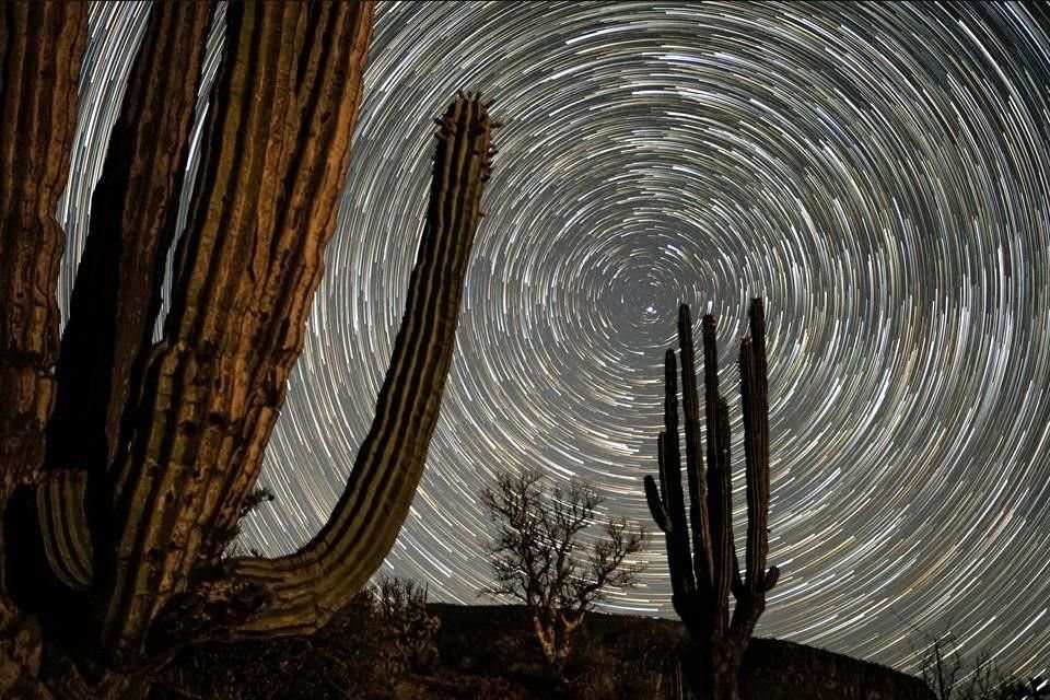 Imagen del documental 'Culto a la historia natural de México'.