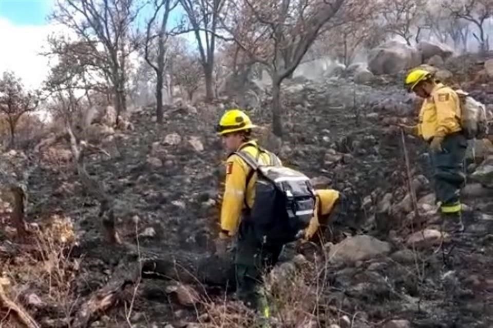 En lo que va del año, ocho brigadistas forestales han resultado lesionados por combatir incendios y uno falleció.