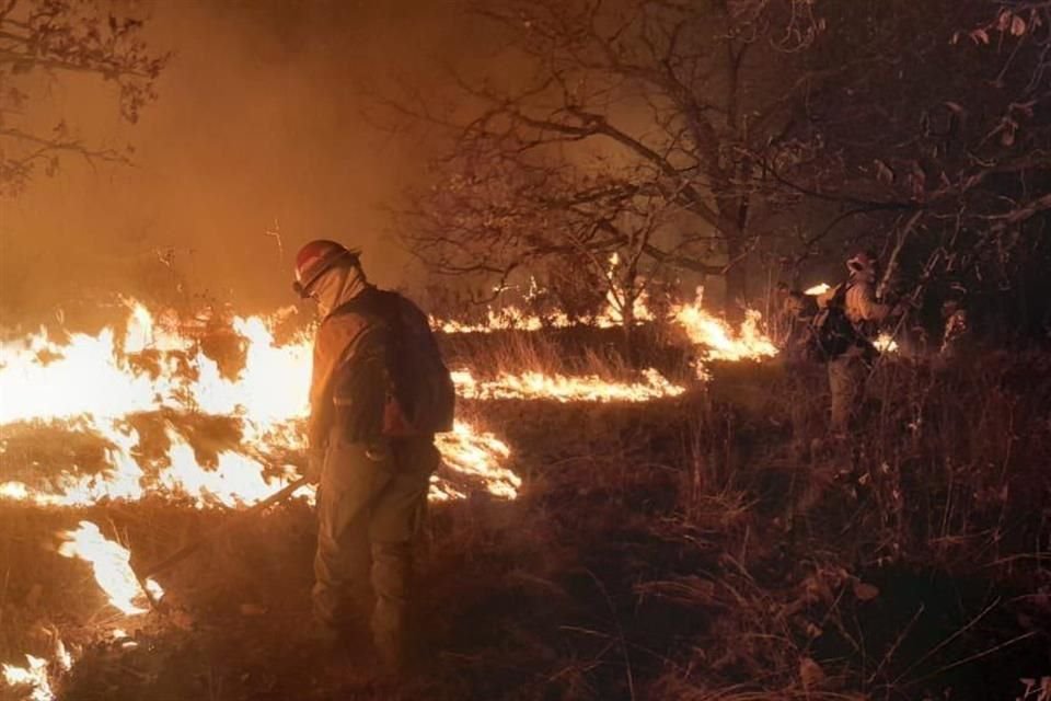 Incendio ocurrido en paraje Santa Cruz en Bosque La Primavera.