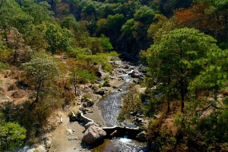 El Bosque La Primavera ha sufrido varios incendios y urbanización ilegal.