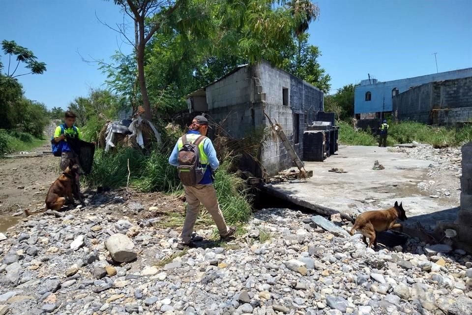Rescatistas de varios municipios, entre ellos el Grupo Jaguares, buscaron en el Río Santa Catarina y el Río San Juan el cuerpo de la conductora desaparecida en Juárez.