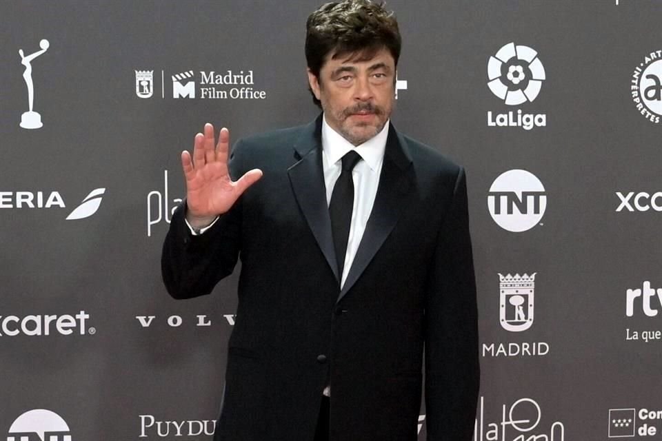 Benicio del Toro, Ricardo Darín, y Cecilia Suárez son algunos de los famosos que desfilaron por la alfombra de los Premios Platino.