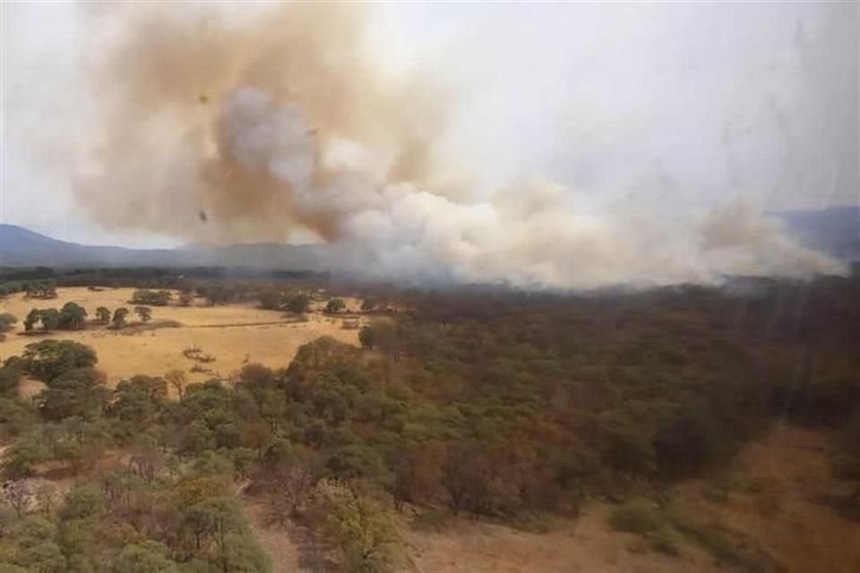 El incendio más reciente fue el bosque La Primavera y es combatido vía aérea por distintas corporaciones de los tres órdenes de gobierno.