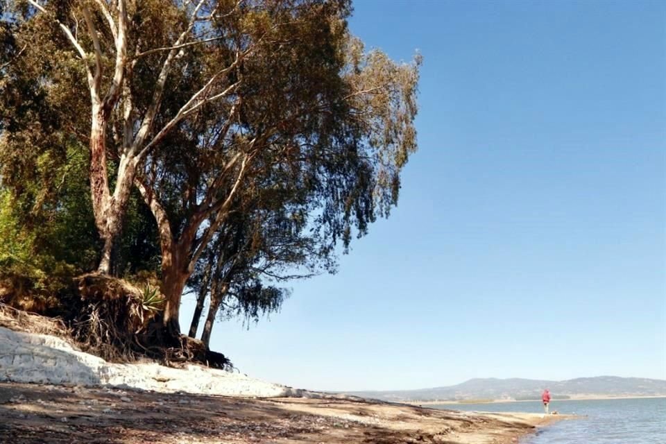 La Comisión Nacional del Agua informó que las presas del Sistema Cutzamala continúan con una tendencia a la baja ante la escasez de lluvias.