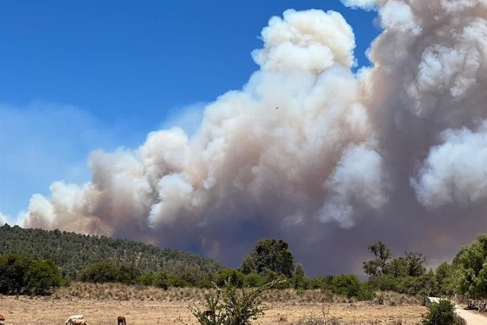 De acuerdo con el Alcalde de Atemajac de Brizuela, incendio habría iniciado por una quema que hizo una persona sin permiso.