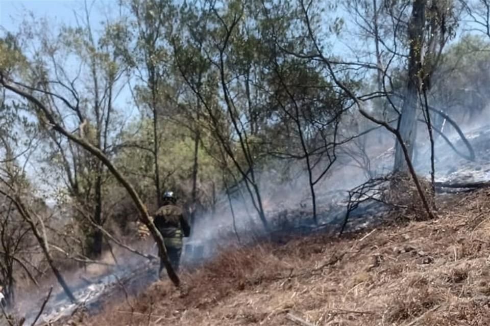 La reducción de incendios ha beneficiado a zonas ecológicas protegidas como Lomas de Tarango, la Barranca Mixcoac y la Barranca Becerra Tepecuache.