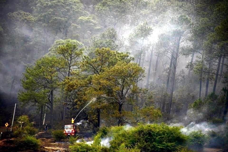 En abril y los primeros dos días de mayo, ocurrieron en Jalisco 380 incendios forestales que afectaron 36 mil hectáreas de bosques y selvas.