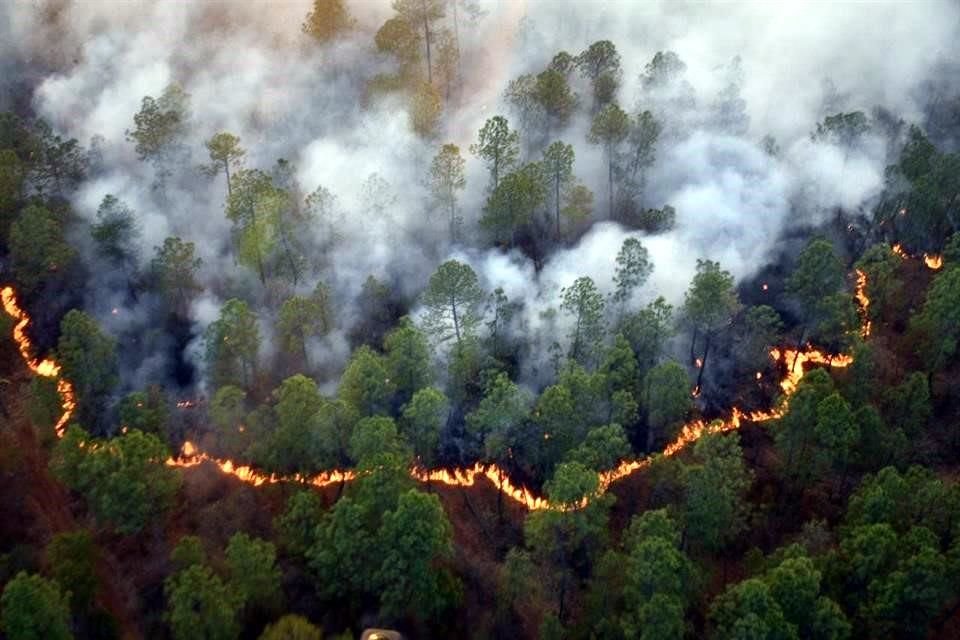 Tras seis días de combate concluyó la noche de ayer el incendio forestal que inició en Chiquilistlán y se extendió a Atemajac de Brizuela.