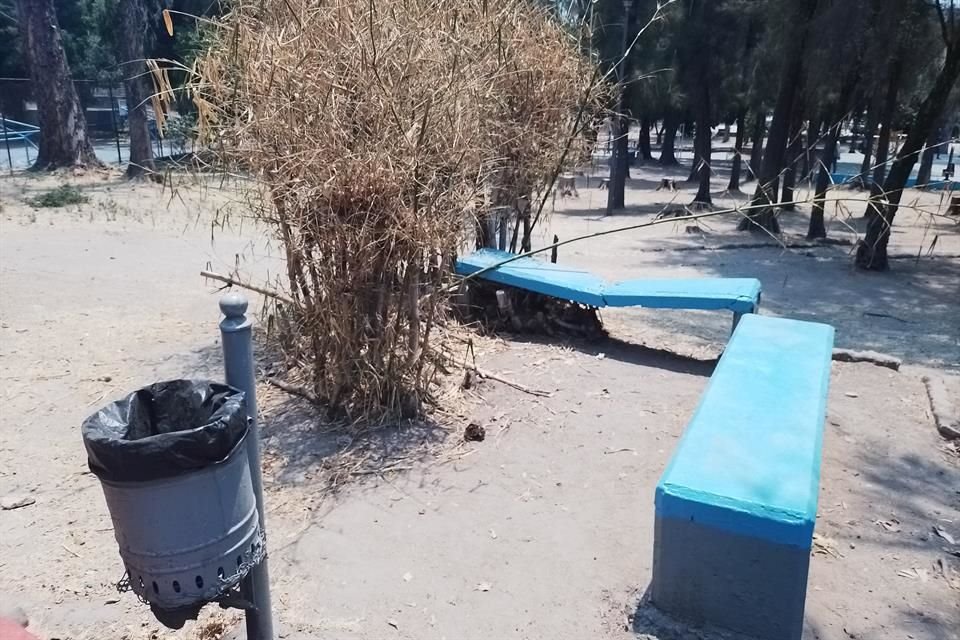 En 2017, autoridades prometieron que darían mantenimiento permanente al Parque Tucson.