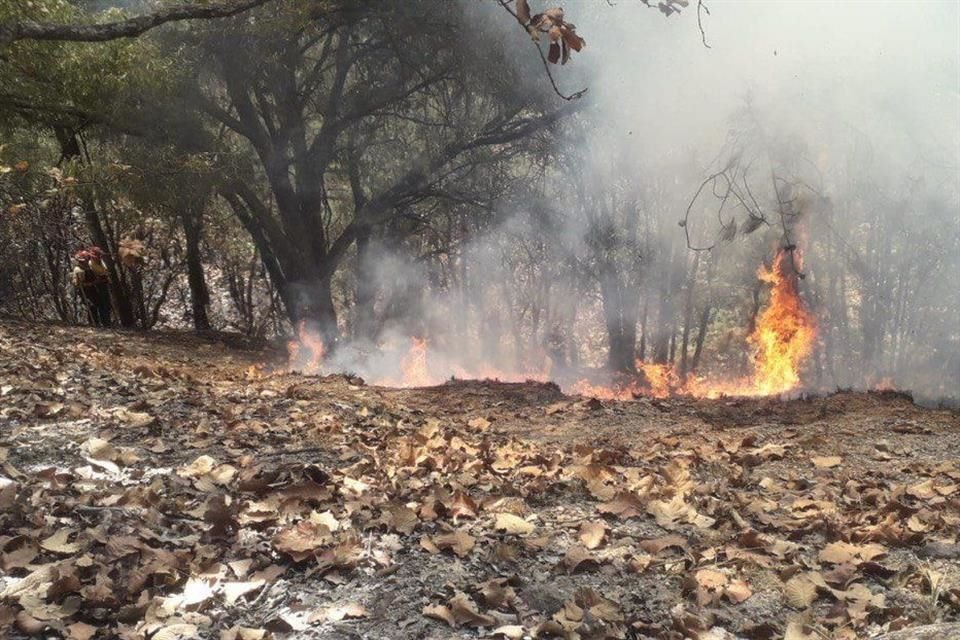 Las áreas afectadas se concentraron en la Sierra Occidental y Costa.