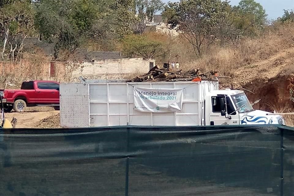Usuarios de redes denunciaron la tala de decenas de rboles en un predio ubicado en el lmite del rea protegida Bosque El Nixticuil
