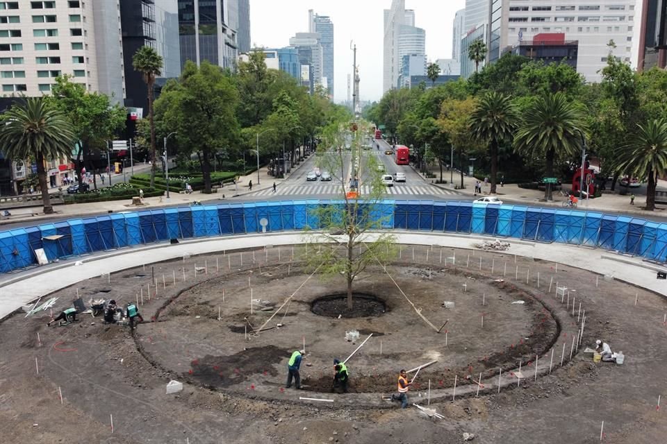 En el agujero se colocaron previamente costales de tierra mojada que buscaban favorecer la humedad en el suelo.