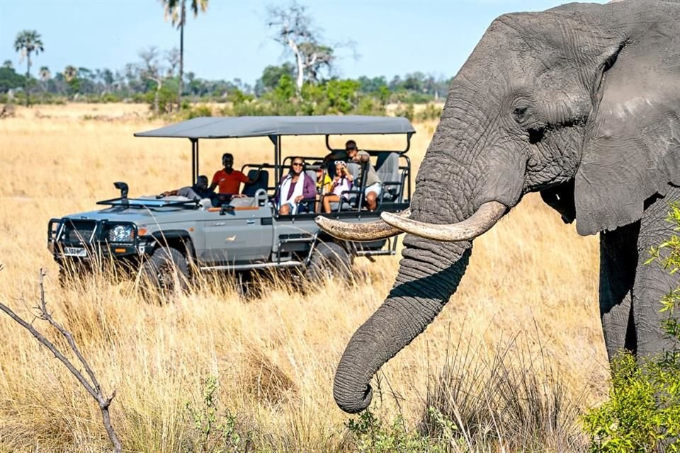 La firma Wilderness presume Wilderness Bush Buddy, donde ofrecen experiencias para gozar de África en familia como una buena tribu muégano.