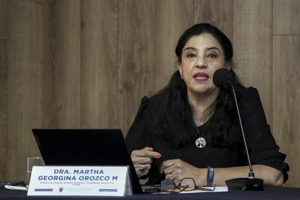 La especialista en salud ambiental del CUCBA, Martha Georgina Orozco, advirtió sobre los alcances de los microplásticos.