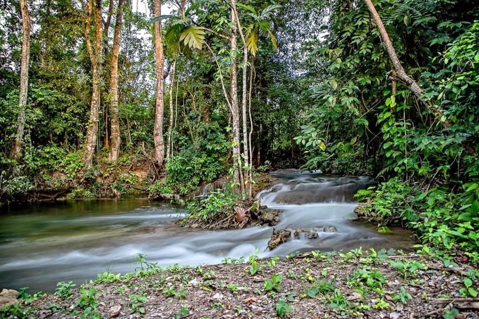 Chiapas.