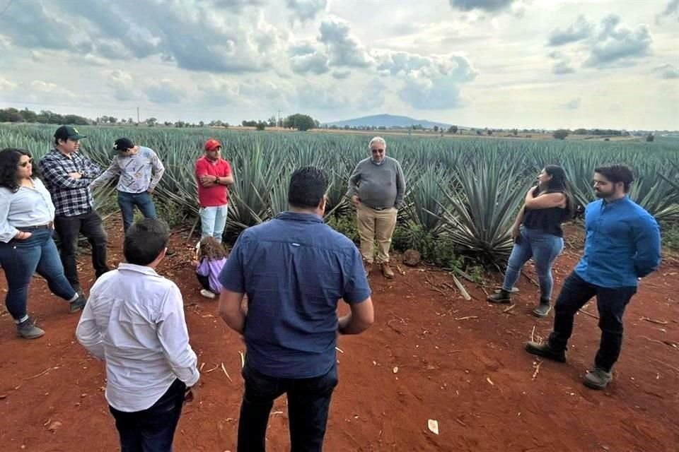 El CRT, en conjunto con universidades, impulsa programas de capacitación para participantes de la Cadena Productiva Agave-Tequila.
