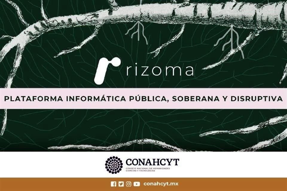 Investigadores denuncian fallas y errores en el acceso a la nueva plataforma de postulación Rizoma.