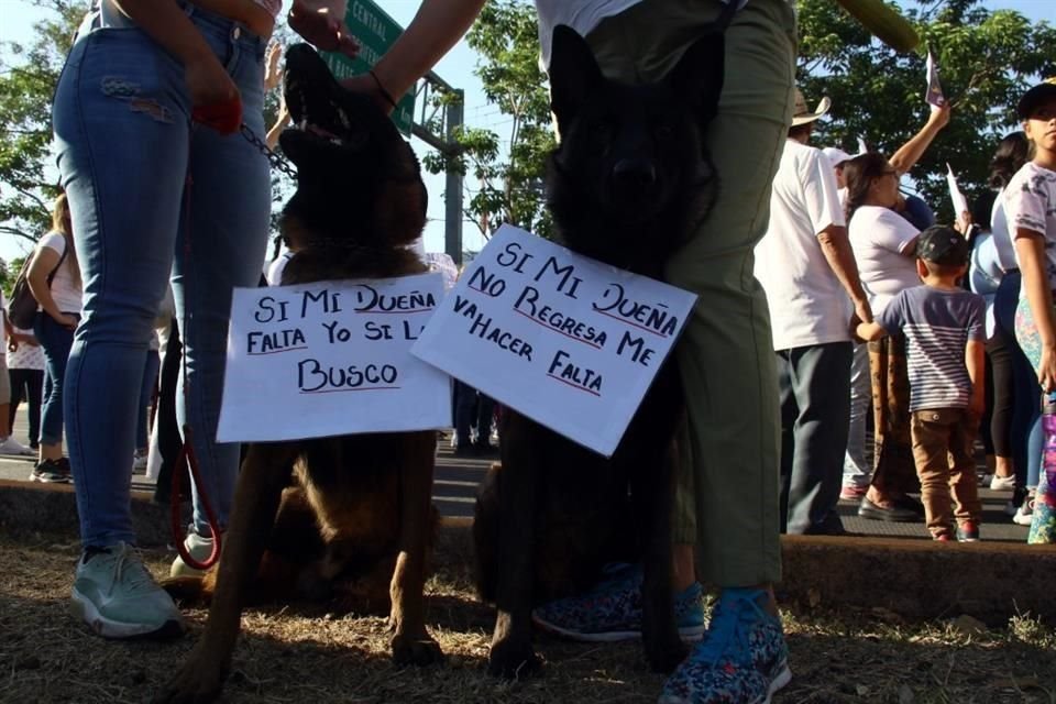 Lobo y Oso, mascotas de Sandra Analí, también asistieron a la manifestación.