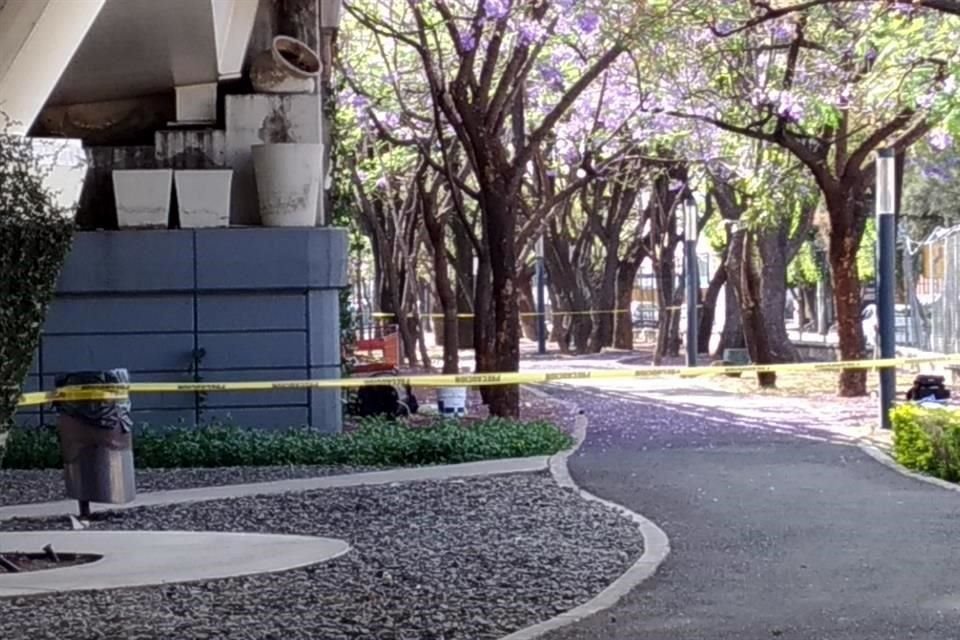 El hallazgo sucedió en uno de los jardines cercanos al cruce de Lázaro Cárdenas y Guadalupe.