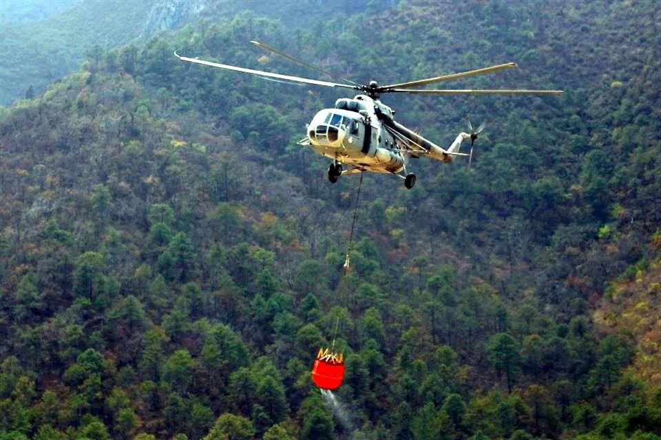 Un incendio consumió más de 8 mil hectáreas en Nuevo León.