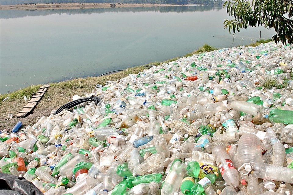 El próximo lunes se conmemorará el Día Mundial del Medio Ambiente y se dedicará a concientizar sobre el uso indiscriminado de plásticos.