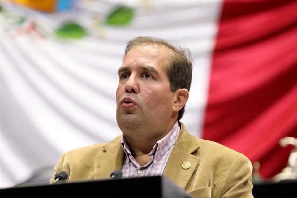 José Luis Garza Ochoa, Dirigente estatal del PRI.