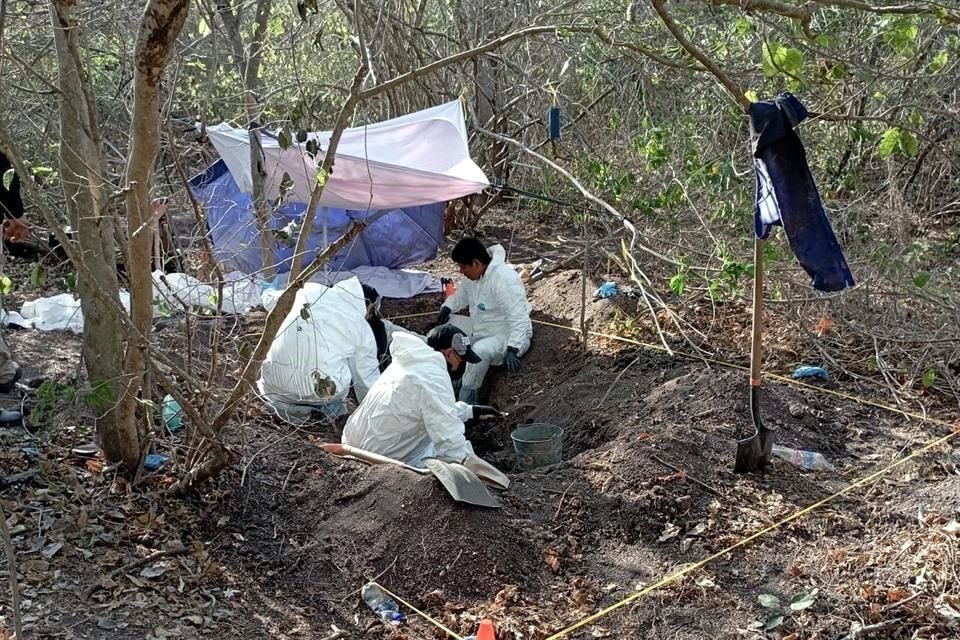 En un predio de Cerro de Ortega, en los límites de Colima con Michoacán, fueron localizadas 55 fosas clandestinas.