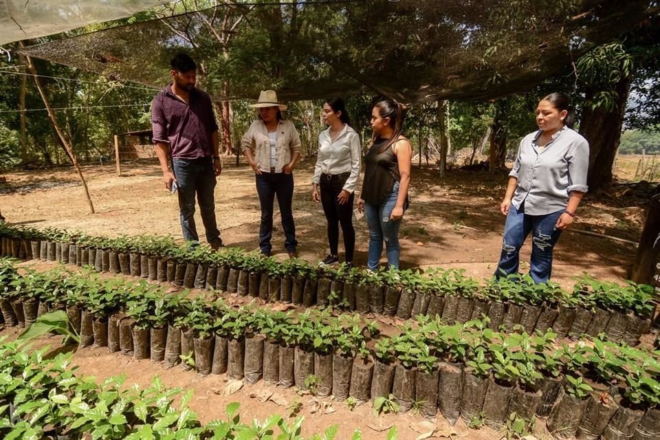 El proyecto que impulsan es proyecto 'Medios de Vida Sostenibles para Mujeres Rurales en Jalisco'.