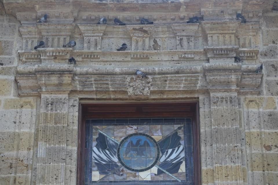 Especies invasoras, que se han vuelto parte del paisaje urbano, pueden ocasionar daños a edificios o monumentos, además de transmitir enfermedades.