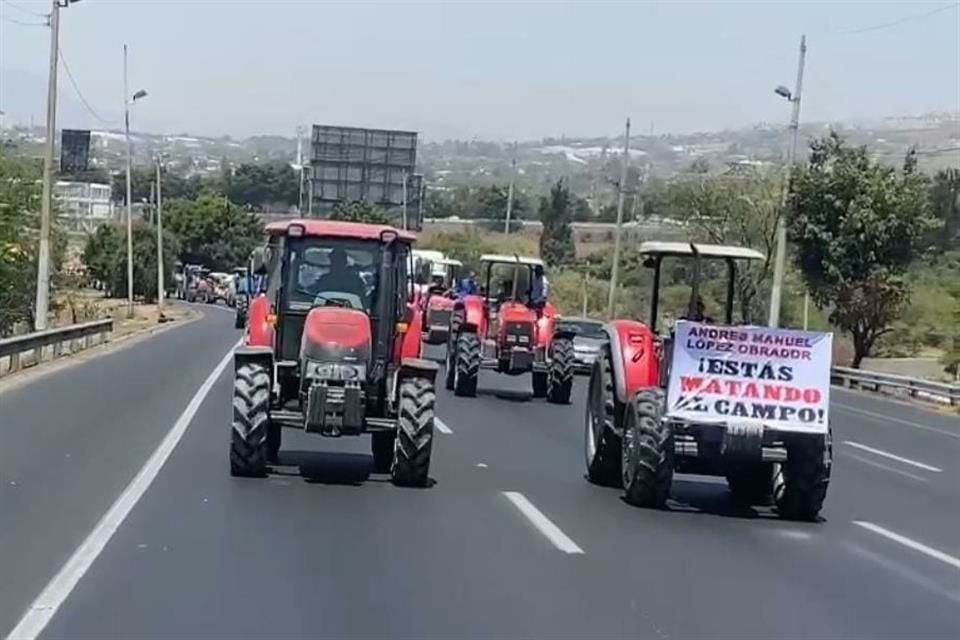 Productores agrícolas de Jalisco se manifestaron este martes en las oficinas de la Secretaría de Agricultura y Desarrollo Rural (Sader) del Gobierno federal, inconformes con el precio del trigo.