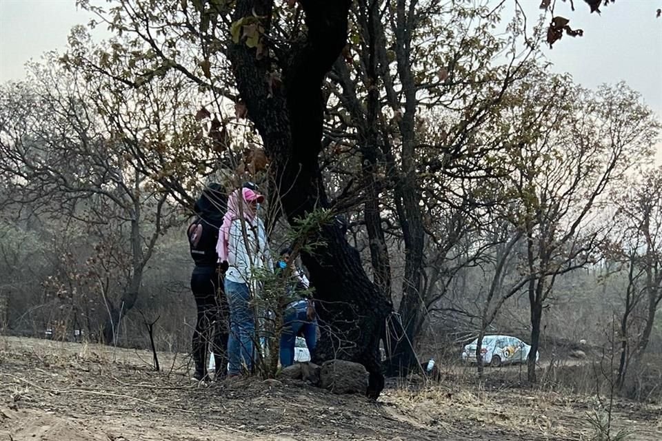 Integrantes del colectivo Madres Buscadoras de Jalisco actualizaron ayer a 32 el número de bolsas con restos humanos que han encontrado sepultadas en un predio de San Agustín, en Tlajomulco.