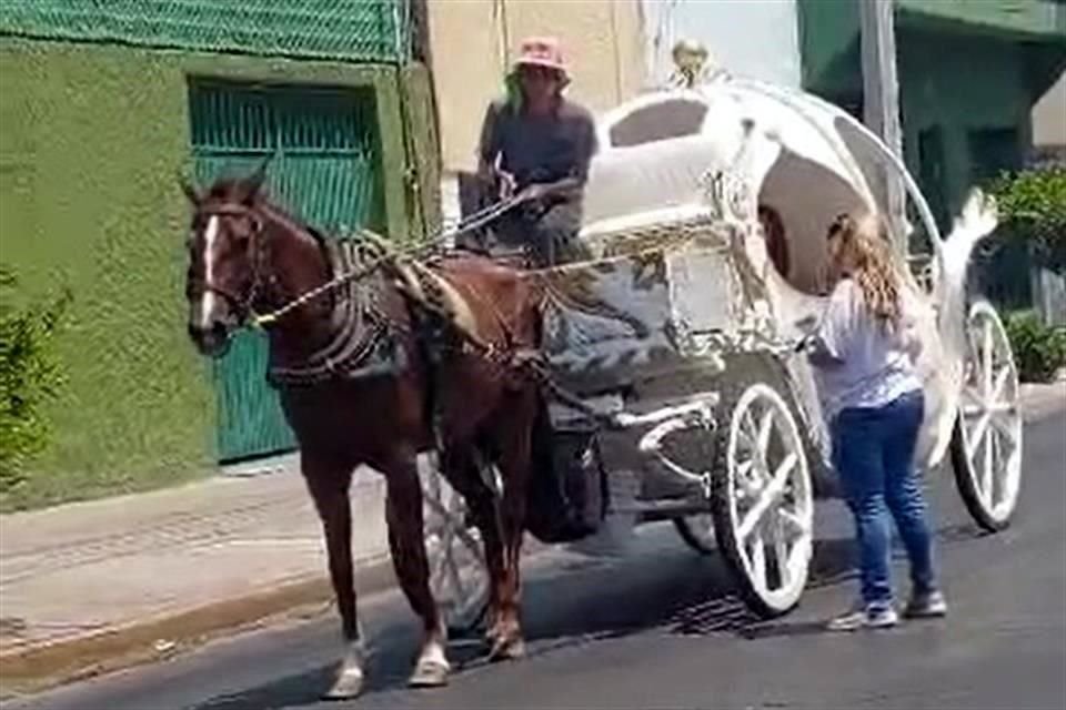 El director de Protección Animal, Juan Barragán, aseguró que se tienen operativos para garantizar que todas las calandrias tiradas por caballos detengan operaciones en cuanto sube la temperatura.